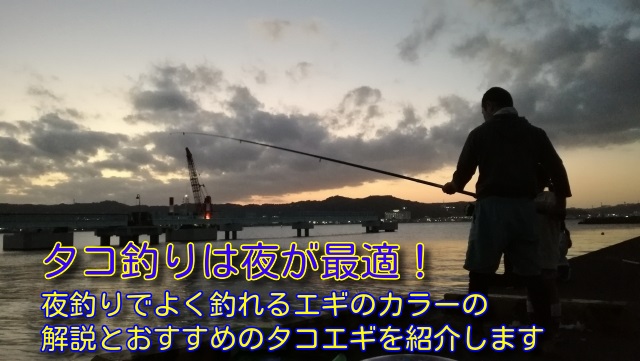 タコ釣りは夜が最適！　タイトル画像